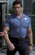 lou ferrigno sheet metal worker|lou ferrigno security guard.